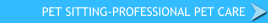  Boca Raton/Delray Beach Pet Sitter