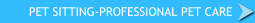  Boca Raton/Delray Beach Pet Sitter